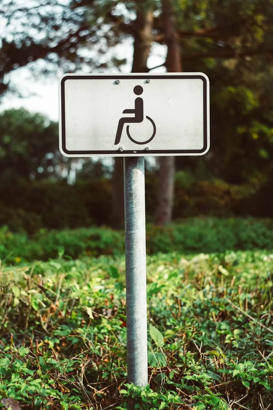 Wheelchair parking sign in greenery