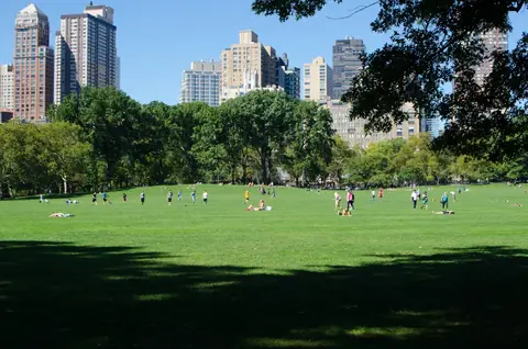 City park with skyscrapers (appears to be New York)