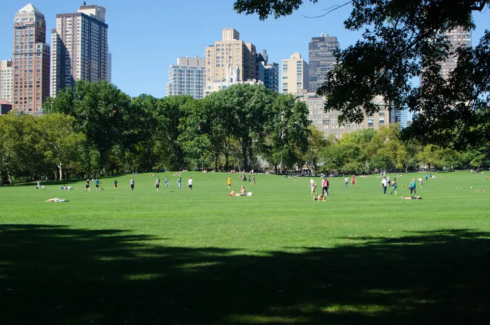 City park with skyscrapers (appears to be New York)